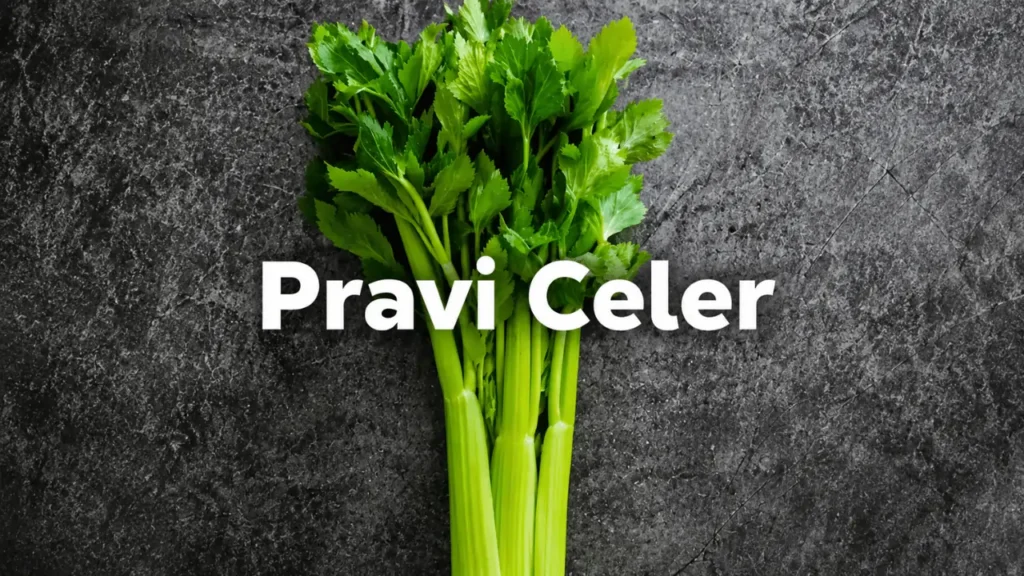 pravi celer