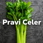 pravi celer